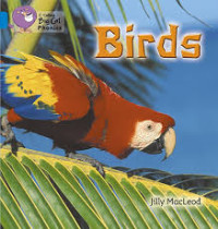 Image of Birds