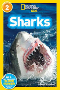 Image of Sharks